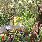 Oliva By Interhome * Pula